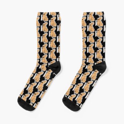 Gourmand Rain World Socks
